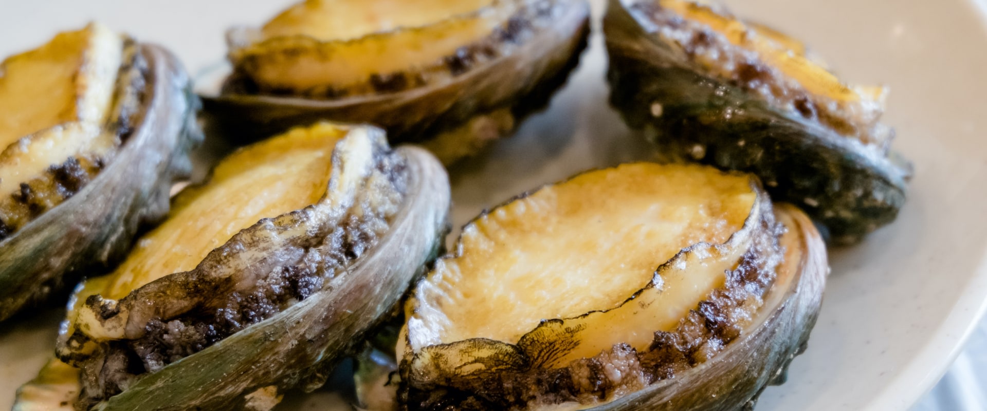 Why is Wild canned Abalone So Expensive?