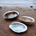 On Hing Abalone - A Mystery Customer Review
