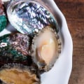 Cleaning Canned Abalone: A Step-by-Step Guide