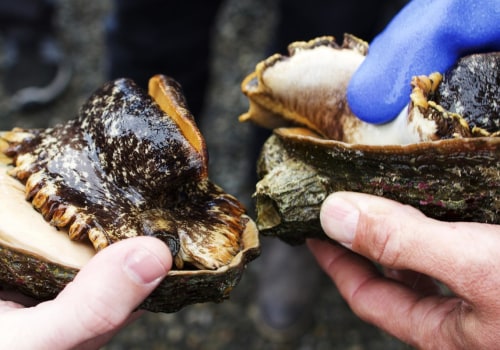 Where Does the Best Abalone Come From?