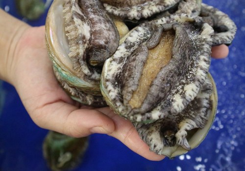 Why is Abalone So Expensive?
